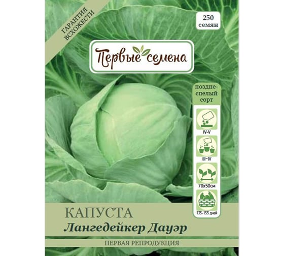 Капуста лангедейкер описание сорта фото Капуста лангедейкер описание Фитостудия-63.ру