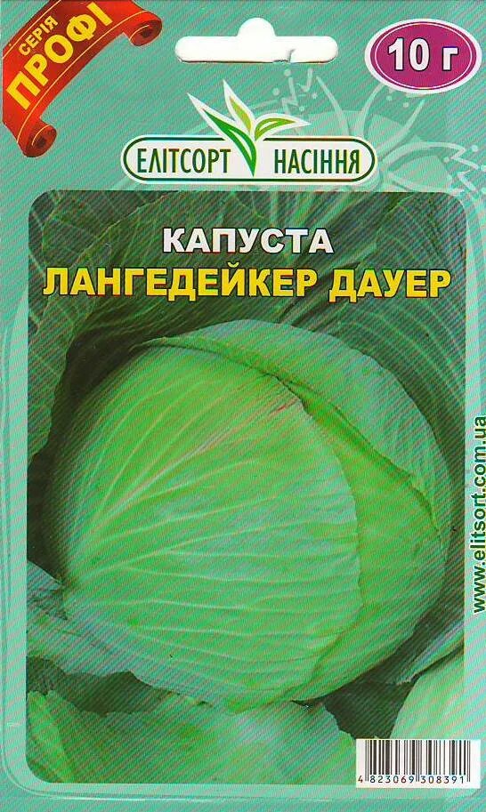 Капуста лангедейкер описание сорта фото Капуста Лангедейкер Дауер - Офіційний сайт компанії "Агрофірма-Елітсортнасіння"