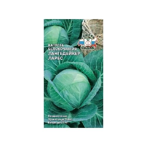 Капуста лангедейкер описание сорта фото Капуста Лангедейкер Ларес (0,5г.) (С) позднесп. купить с доставкой - интернет ма