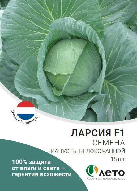 Капуста ларсия описание сорта фото Капуста ларсия фото: найдено 90 изображений