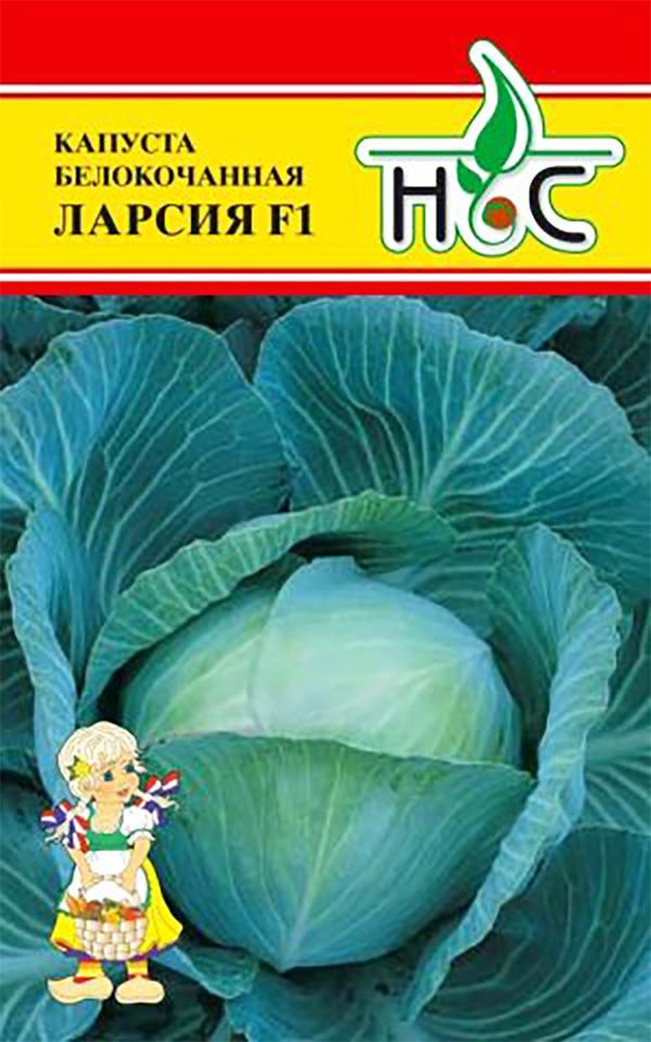 Капуста ларсия описание сорта фото Фото капусты ларсия