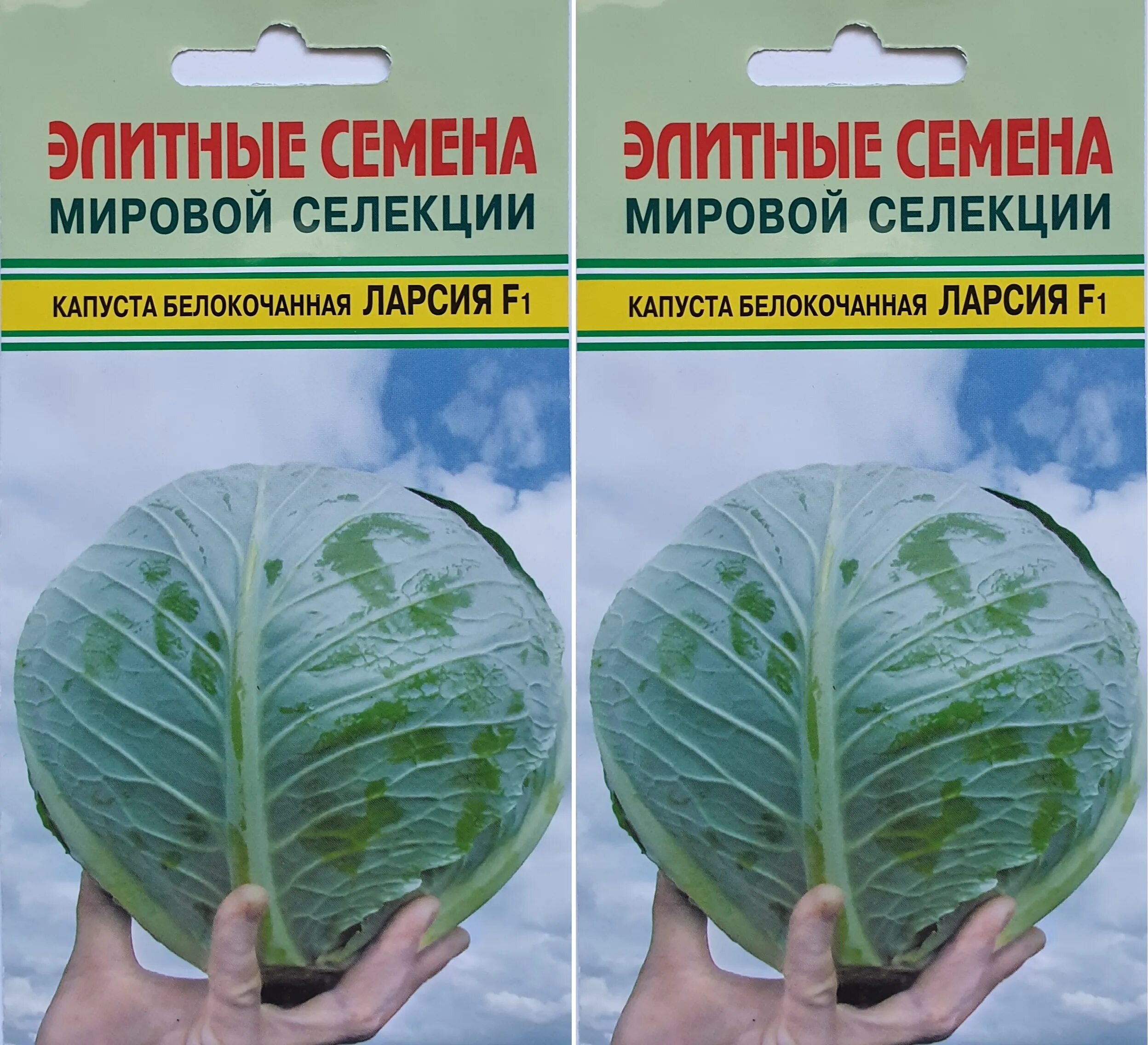 Капуста ларсия описание сорта фото ЛАРСИЯ F1 - купить по выгодным ценам в интернет-магазине OZON (468072466)