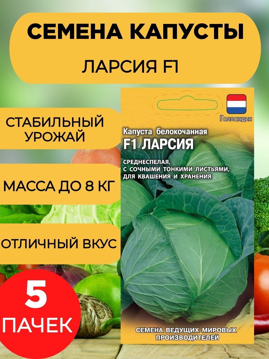 Капуста ларсия описание сорта фото отзывы садоводов Капуста семена_капуста_бк_агроэ_ларсия_5 - купить по выгодным ценам в интернет-м