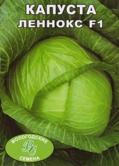Капуста леннокс описание сорта фото отзывы Фото продукции - ООО "Вологодские Семена"