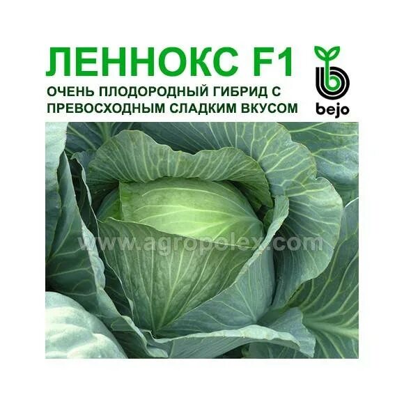 Капуста леннокс описание сорта фото отзывы Капуста Леннокс: описание сорта, фото