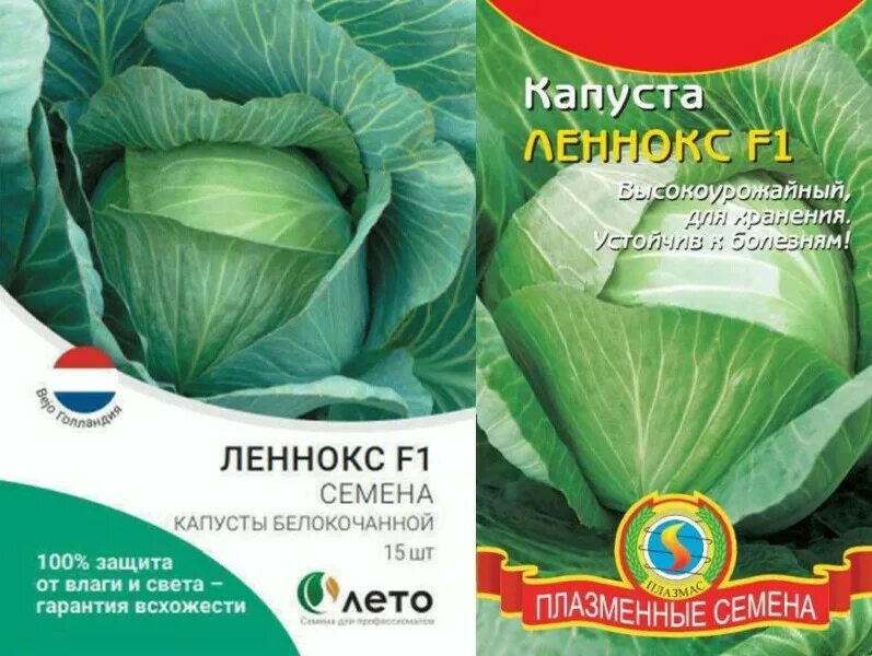 Капуста леннокс описание сорта фото отзывы садоводов Самый лежкий сорт белокочанной капусты-Леннокс F1. Гибрид голландской. Огородная
