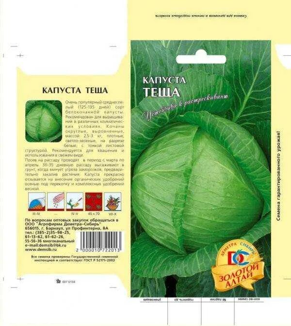 Капуста лежебока описание сорта фото Капуста Теща: фото, описание