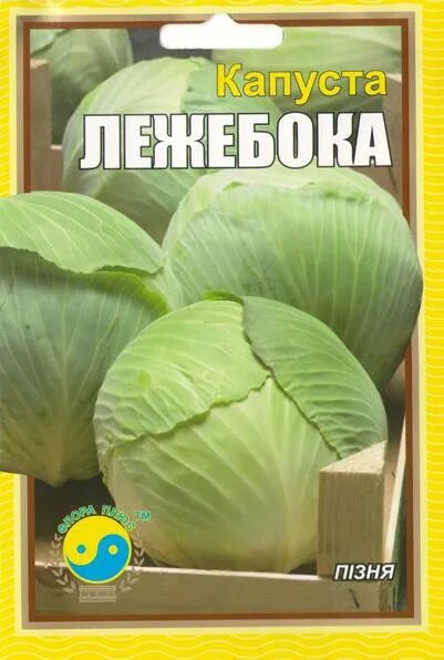 Капуста лежебока описание сорта фото Семена почтой дешево