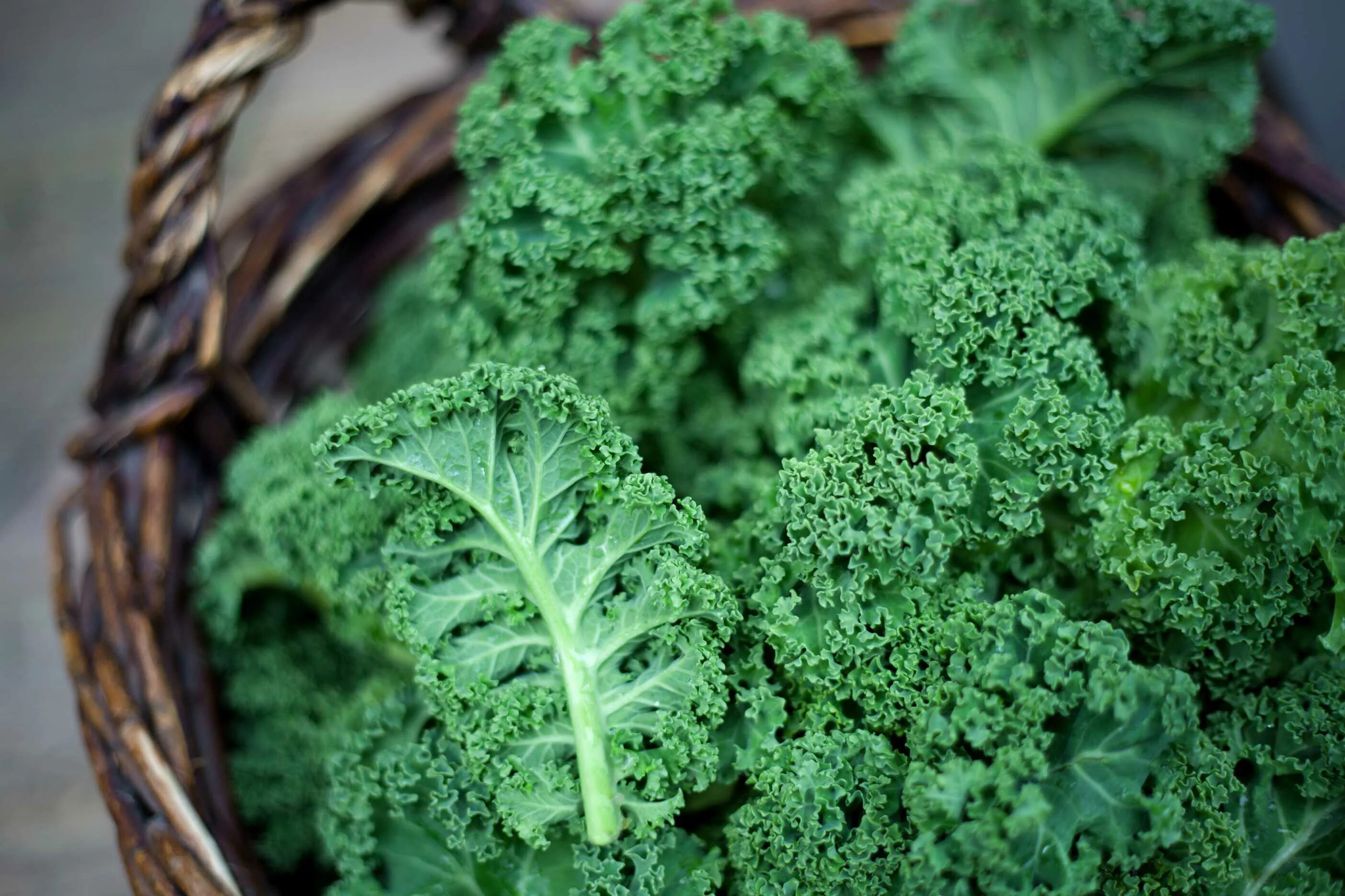 Капуста листовая рецепты приготовления с фото Professional Faqs: Which Is The Best Way To Eat Kale?