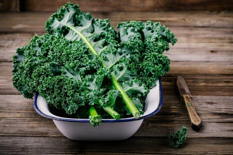 Капуста листовая рецепты приготовления с фото 34 Surprisingly High Protein Vegetables (Ranked In Order) High protein vegetable
