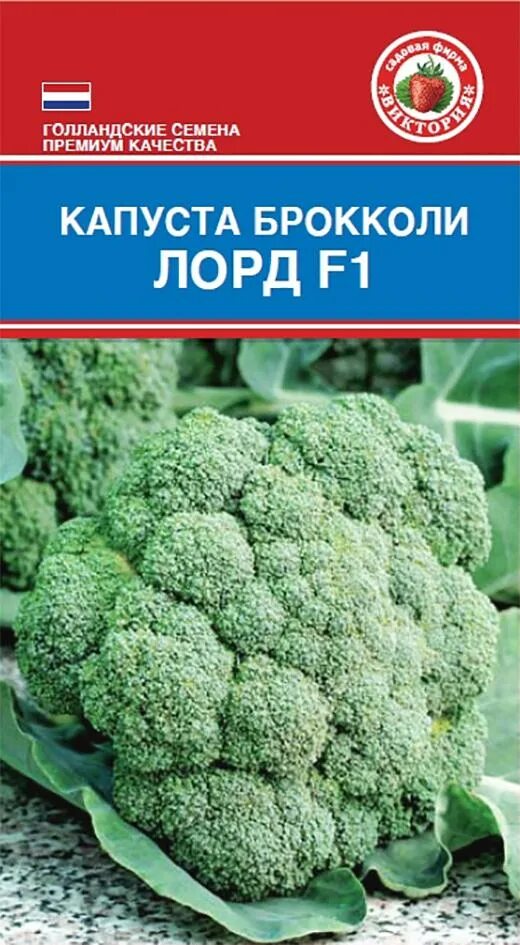 Капуста лорд описание сорта фото отзывы Капуста брокколи Лорд F1