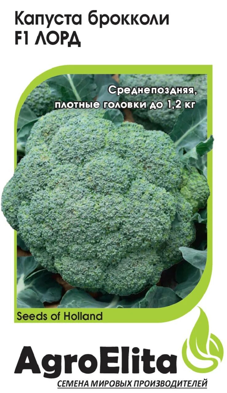 Капуста лорд описание сорта фото отзывы ✔ Семена Капуста брокколи Лорд F1, 10шт, AgroElita, Seminis по цене 51,20 руб. ◈