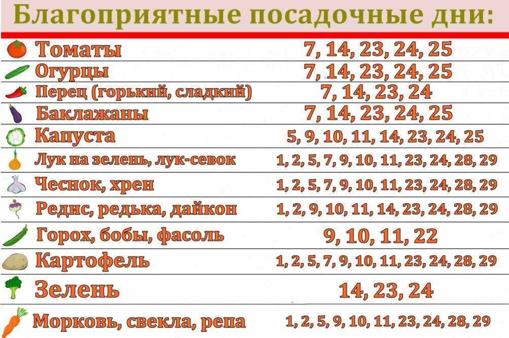 Капуста лунный календарь 2023 Картинки КВАСИТЬ КАПУСТУ В НОЯБРЕ 2023 БЛАГОПРИЯТНЫЕ ДНИ