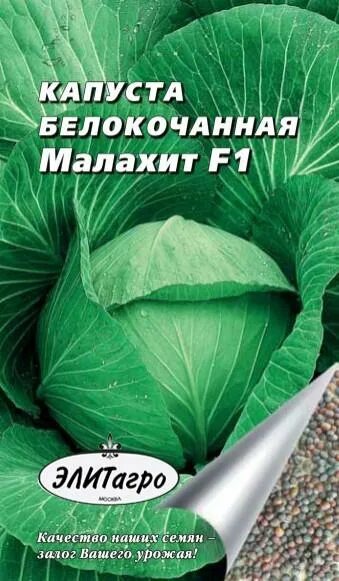 Капуста малахит описание сорта фото отзывы садоводов Семена капуста белокочанная Элитагро Малахит F1 1 уп. - купить в Москве, цены в 