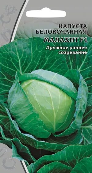Капуста малахит описание сорта фото отзывы садоводов Купить КАПУСТА Б/К Малахит (0,5г) Цв.пак.(ПТК) раннеспелый по выгодной цене - са