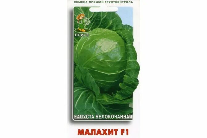 Капуста малахит описание сорта фото отзывы садоводов Капуста Малахит: описание сорта, характеристики и фото