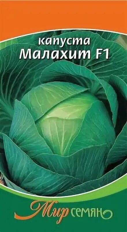 Капуста малахит описание сорта фото отзывы садоводов Капуста Малахит 0,5 гр фирмы Мир Семян купить за 26 руб. - Мир Семян Рязань