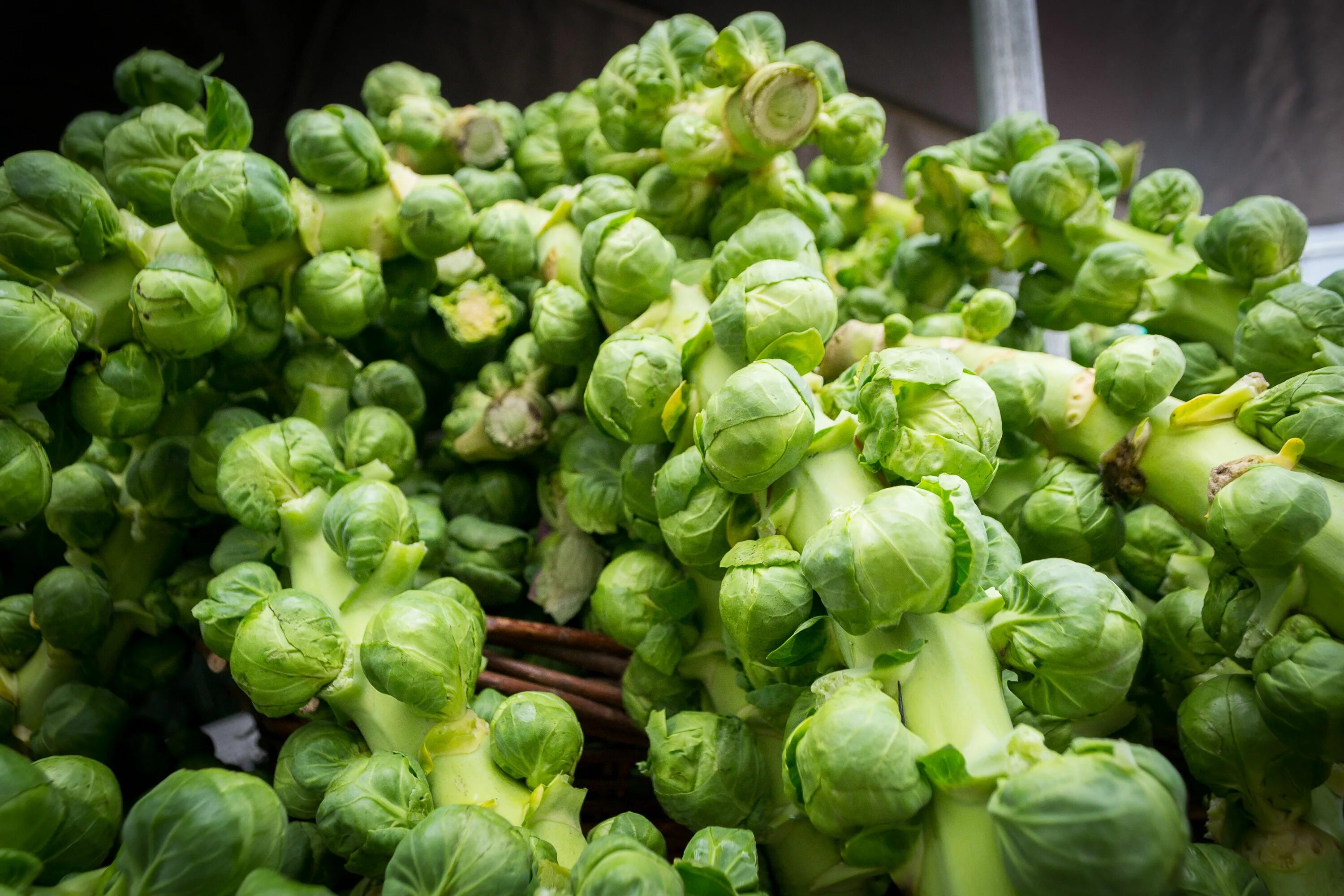 Капуста маленькие кочанчики фото What To Grow In A Greenhouse In Winter Garden Products Greenhouse growing, Bruss