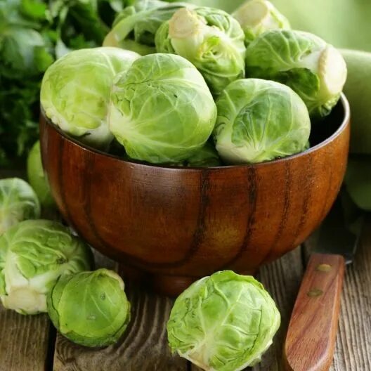 Капуста маленькие кочанчики фото Brussels Sprouts Seeds - Long Island Improved Vegetable Seeds in Packets & Bulk 
