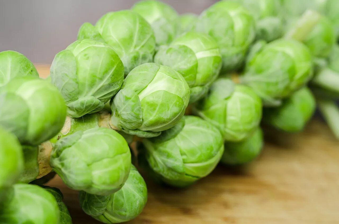 Капуста маленькие кочанчики как называется фото How to make delicious Brussels sprouts - Farm and Dairy