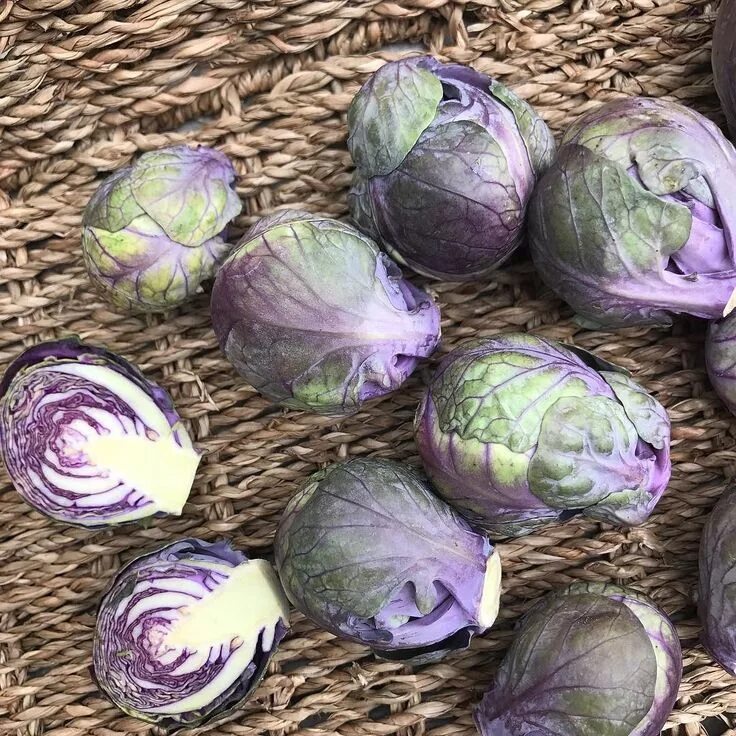 Капуста маленькие кочанчики как называется фото Purple Brussels Sprouts