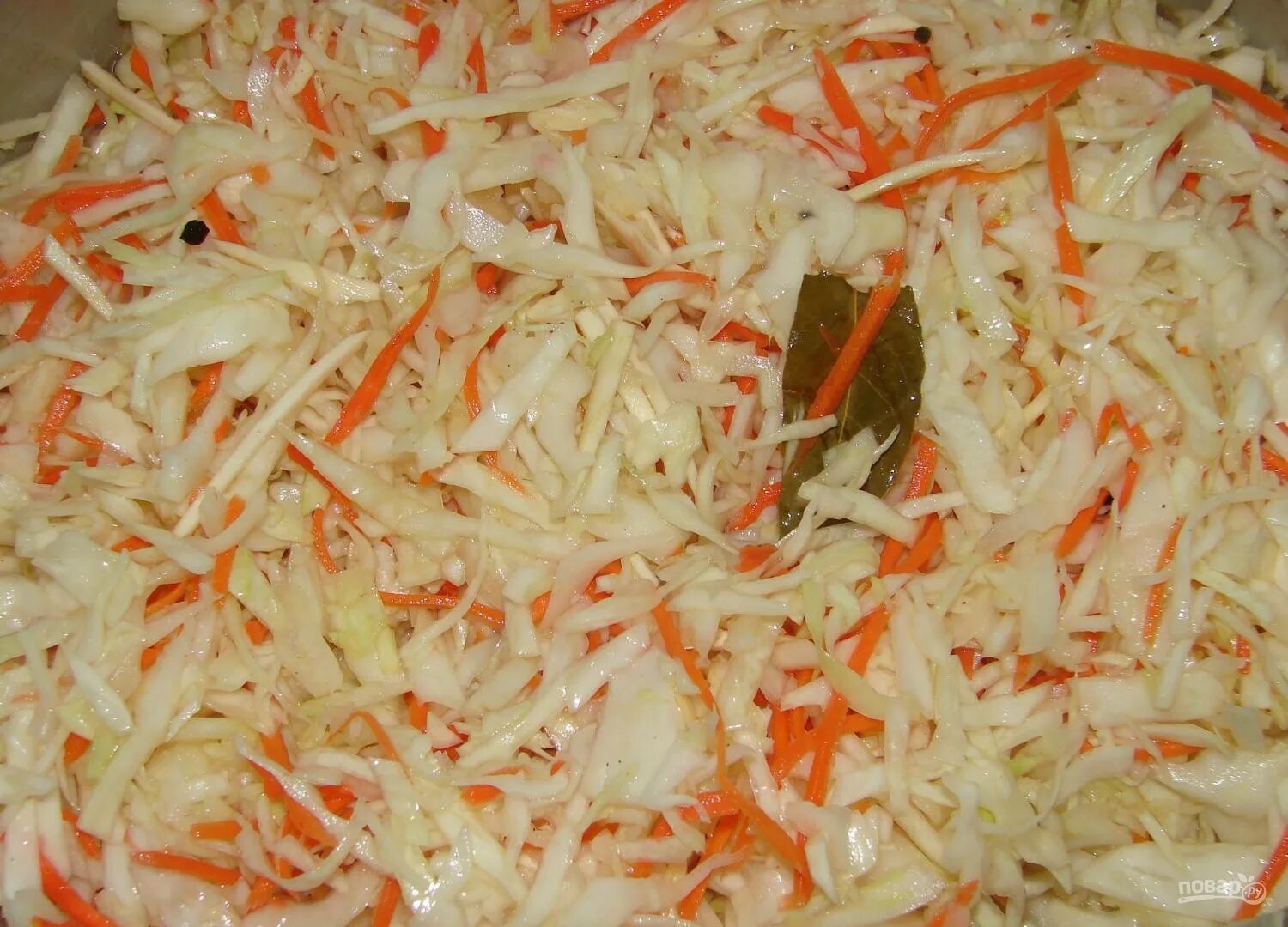 Капуста маринованная рецепт с фото быстро Маринованная капуста с хреном - пошаговый рецепт с фото на Повар.ру