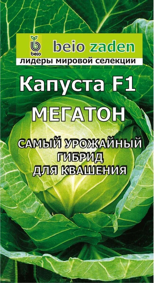 Капуста мегатон f1 описание сорта фото Капуста Мегатон F1 - купить в Новосибирске по низкой цене в интернет-магазине Ми