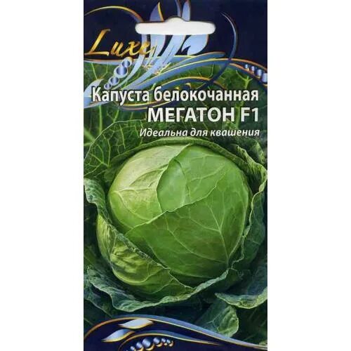 Капуста мегатон f1 отзывы фото Капуста Мегатон F1: семена, описание, фото