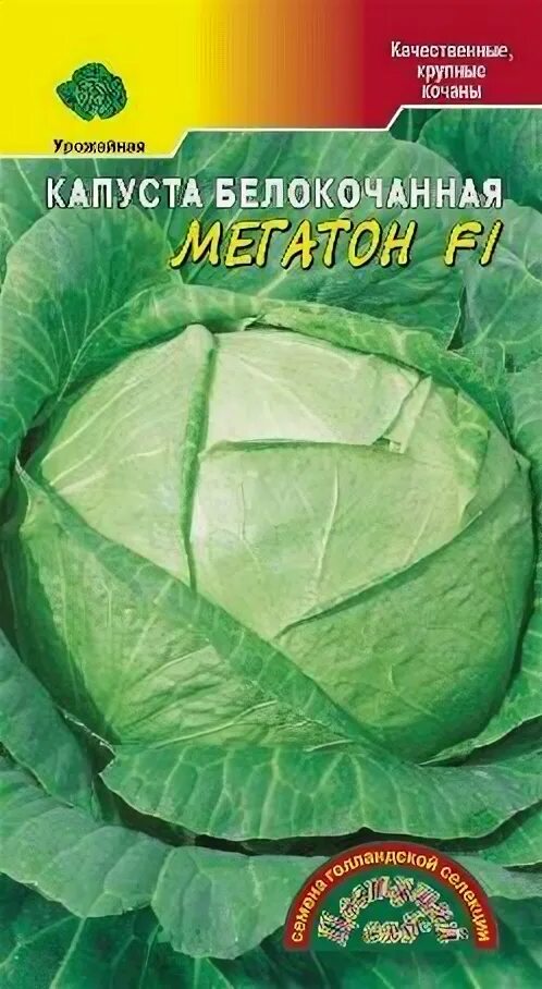 Капуста мегатон характеристика и описание фото Капуста белокочанная агрессор F1 (2500 семян) Syngenta - купить по низкой цене н
