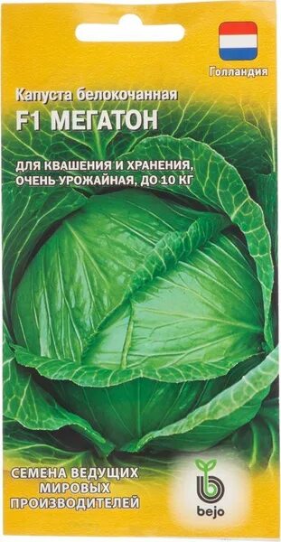 Капуста мегатон характеристика и описание фото Капуста Гавриш Капуста белокочанная для квашения Мегатон F1 - купить по выгодным