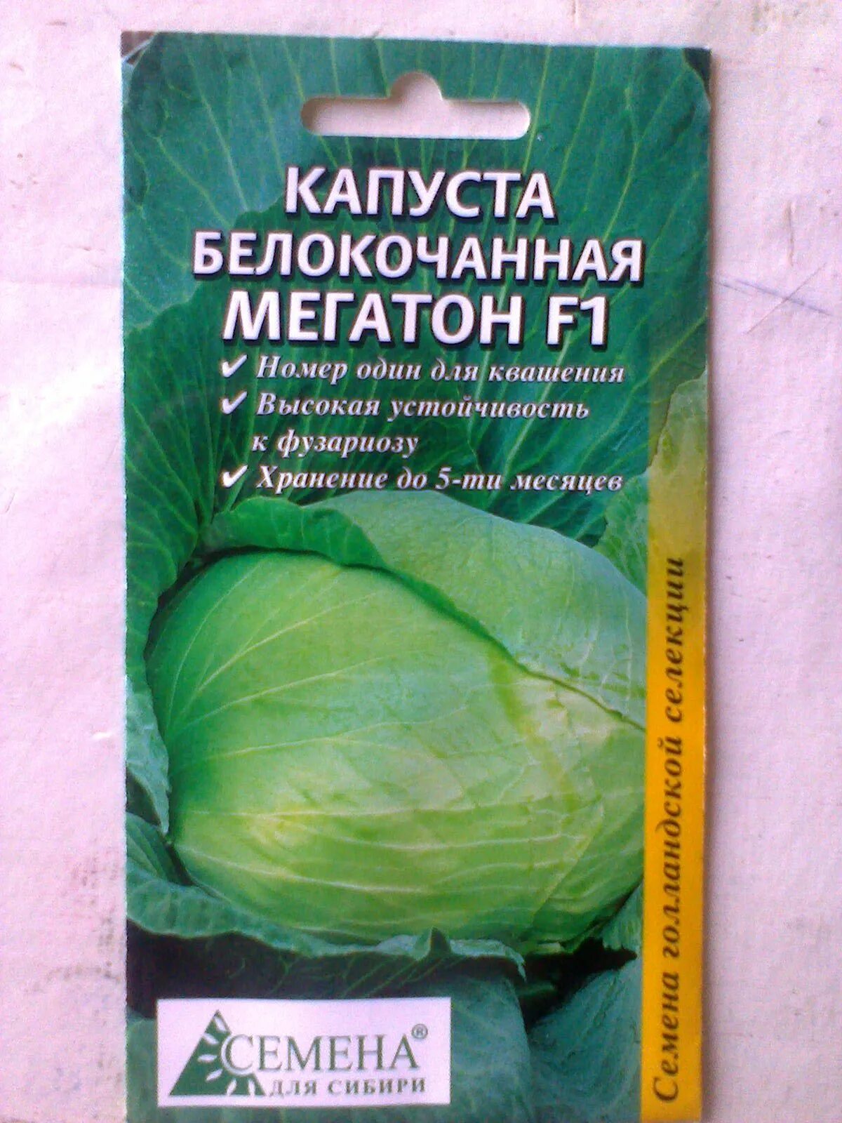 Капуста мегатон характеристика и отзывы фото Семена капуста белокочанной Мегатон F1 "Семена для Сибири" отзывы