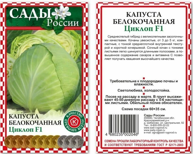 Капуста мегатон описание характеристика отзывы и фото Капуста Мегатон F1: характеристика и описание гибридного сорта с фото