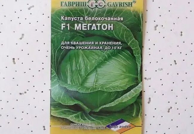 Капуста мегатон описание характеристика отзывы и фото Капуста мегатон описание характеристика отзывы: найдено 77 изображений