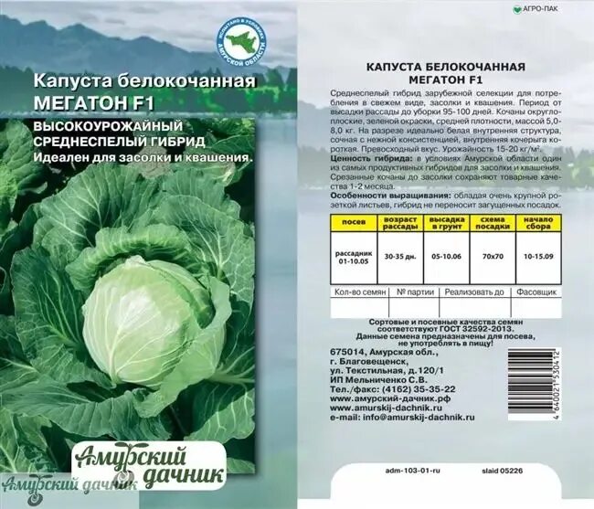 Капуста мегатон описание сорта фото отзывы садоводов Капуста Джетодор - описание сорта, фото, отзывы, посадка и уход