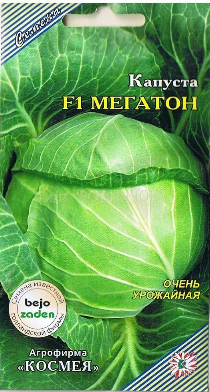 Капуста мегатон отзывы фото Капуста мегатон: описание сорта с фото, посадка и уход, отзывы