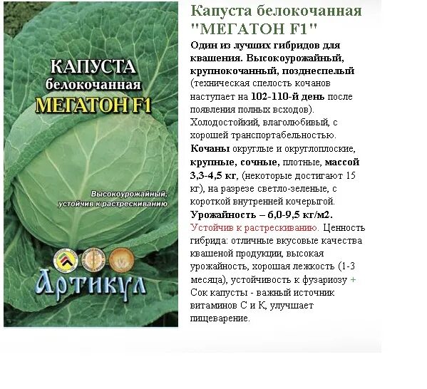 Капуста мегатонн описание сорта фото Капуста мегатон. описание сорта, фото, отзывы, характеристика, урожайность, семе