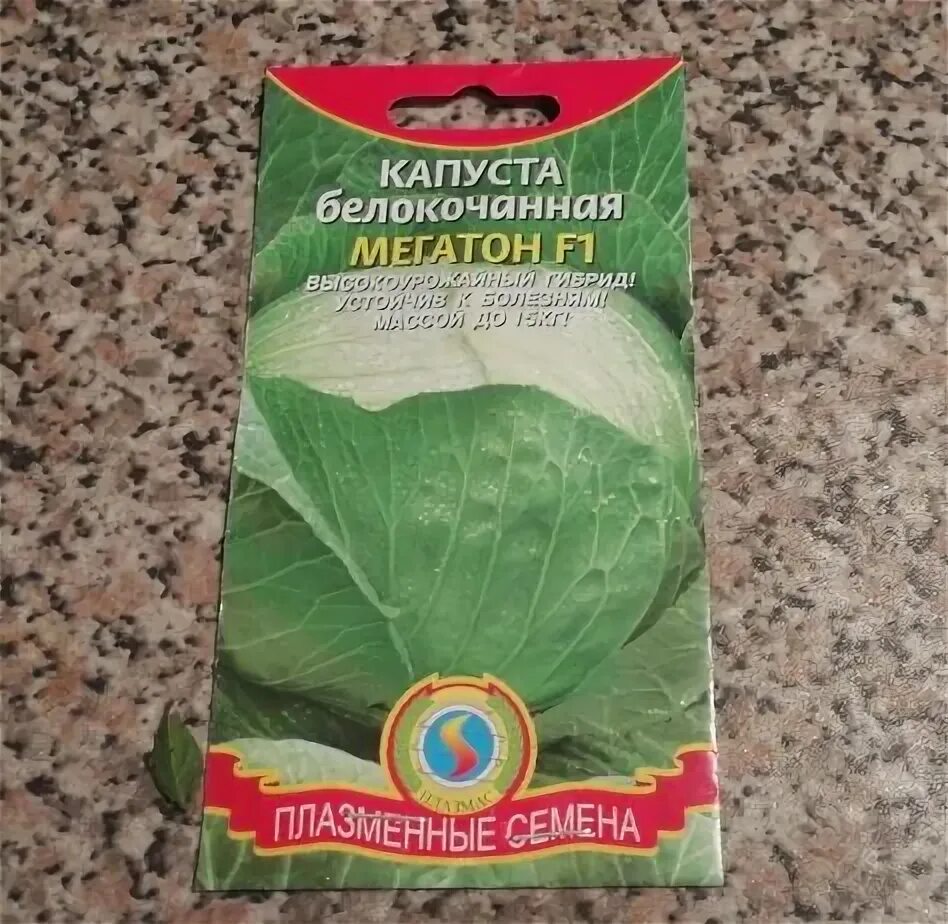 Капуста мегатонн описание сорта фото Крупноплодная капуста Мегатон. Особенности посадки и ухода