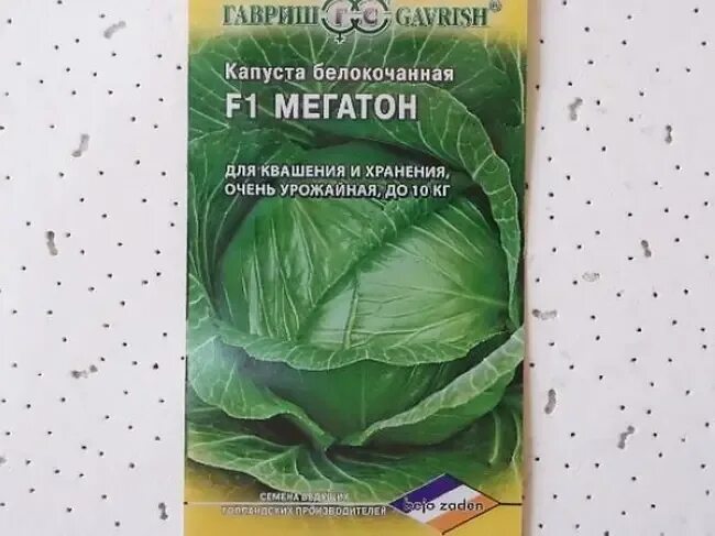 Капуста мегатонн описание сорта фото Сорт капусты мегатон описание фото - DelaDom.ru
