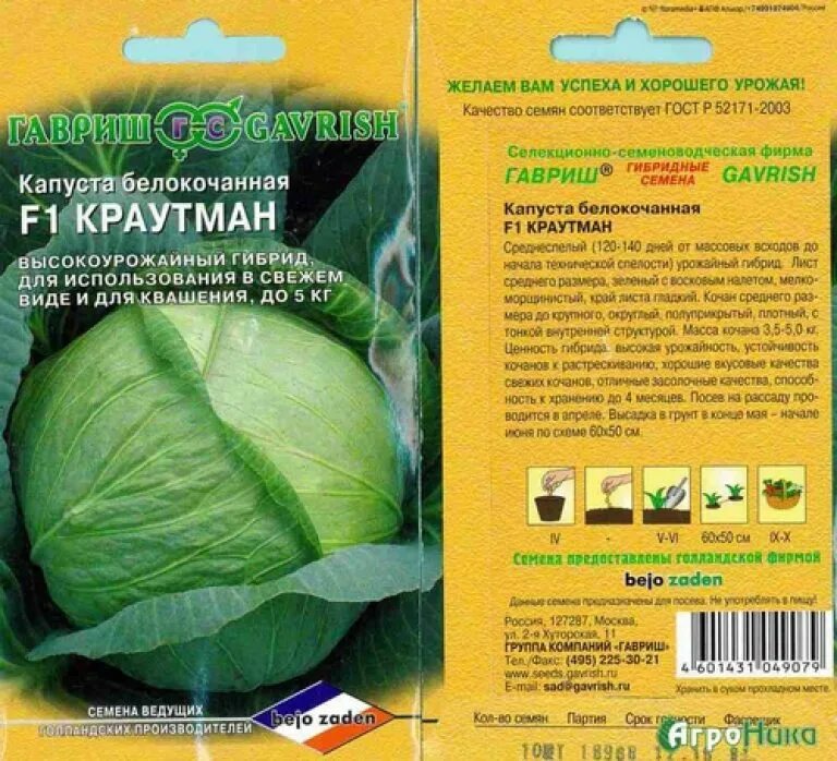Капуста мегатонн описание сорта фото отзывы Капуста Мегатон: Фотографии и Описание Натуралист Фотогалерея природы на dia-log