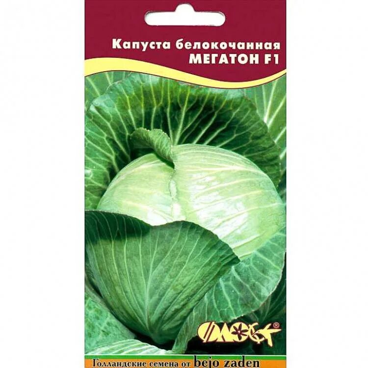 Капуста мегатонн описание сорта фото отзывы Капуста Мегатон: описание сорта, характеристика