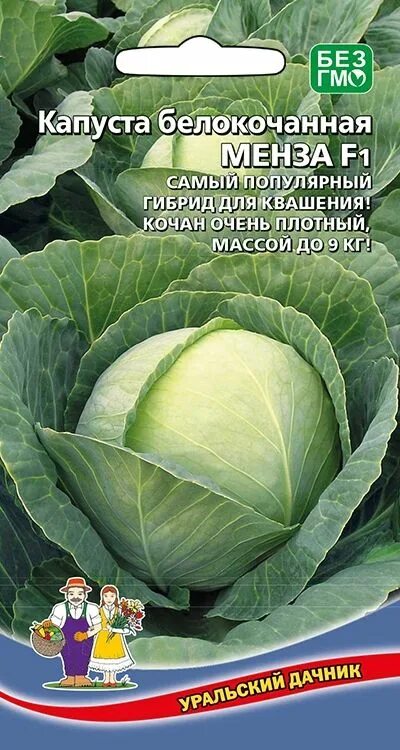 Капуста менза описание сорта фото отзывы Семена Капуста б/к Менза F1: описание сорта, фото - купить с доставкой или почто