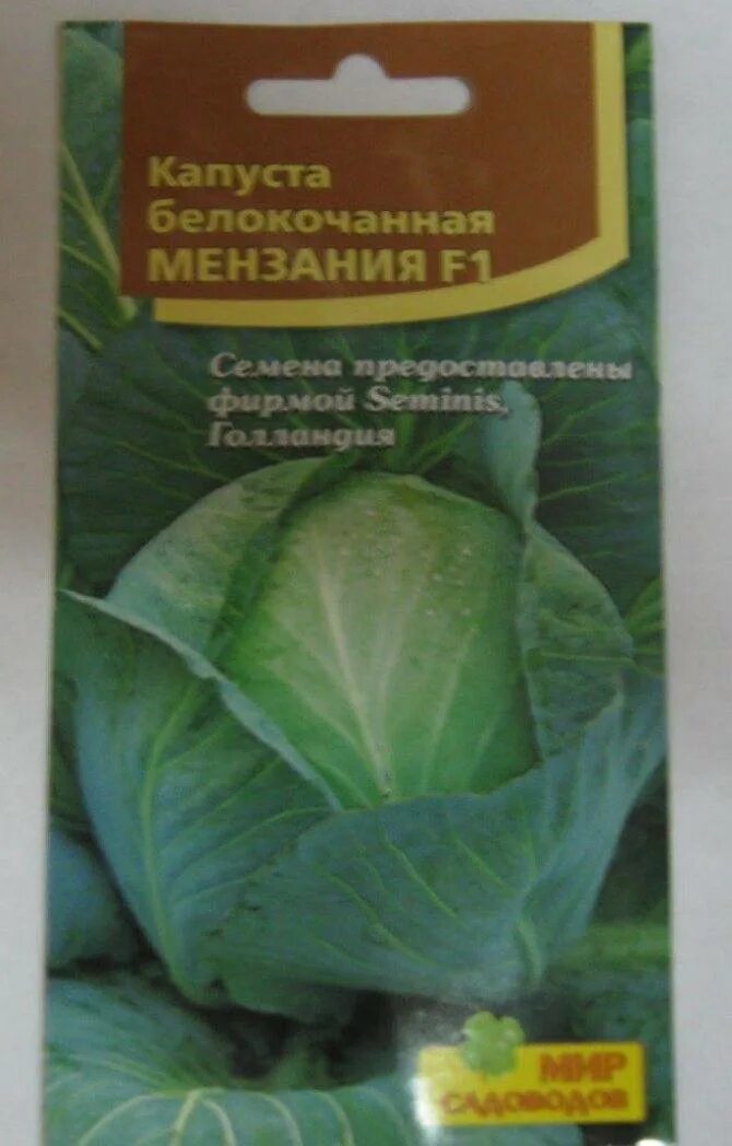 Капуста мензания описание сорта фото Капуста мензания описание сорта фото отзывы садоводов фото - Arhids.ru