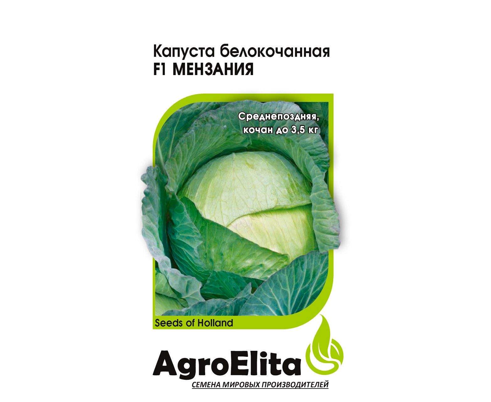 Капуста мензания описание сорта фото отзывы Капуста Мензания 10шт (AgroElita) купить по цене 44 руб. в интернет-магазине sad