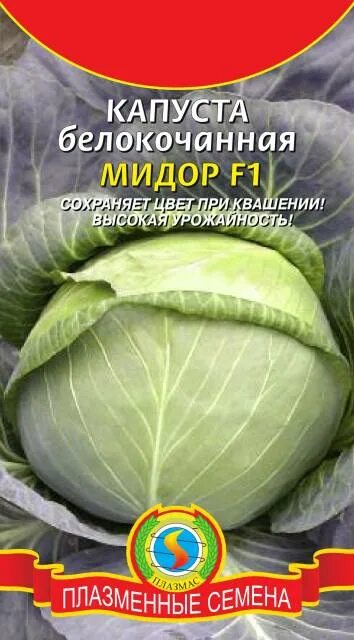 Капуста мидор описание сорта фото отзывы садоводов Капуста б/к Мидор F1 - с бесплатной доставкой можно купить в интернет магазине с