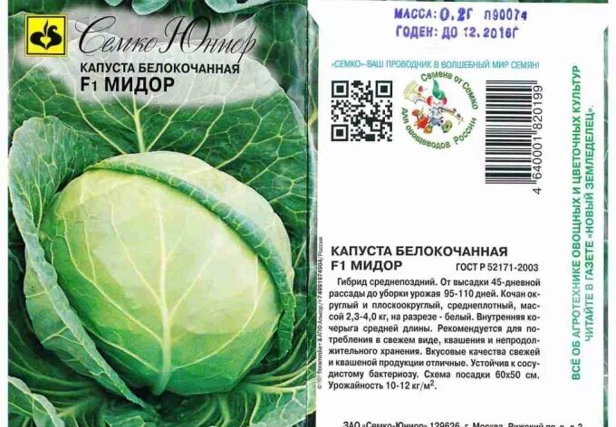 Капуста мидор описание сорта фото отзывы садоводов Капуста сколько хранить в холодильнике: найдено 78 изображений