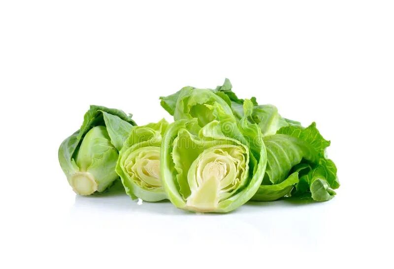 Капуста мини фото Mini Cabbage on White Background Stock Image - Image of sprouts, sprout: 7574696