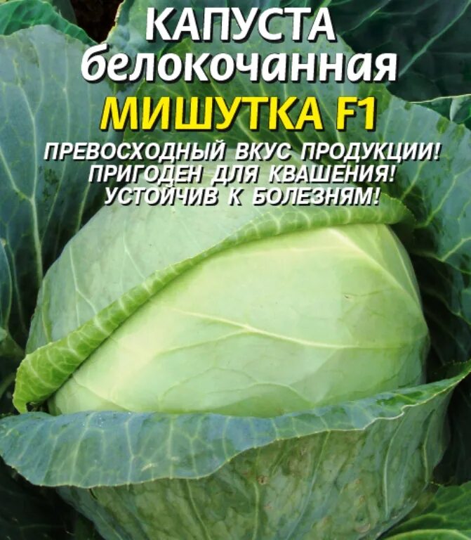 Капуста мишутка описание сорта фото отзывы Семена Капуста б/к F1 Мишутка: описание сорта, фото - купить с доставкой или поч