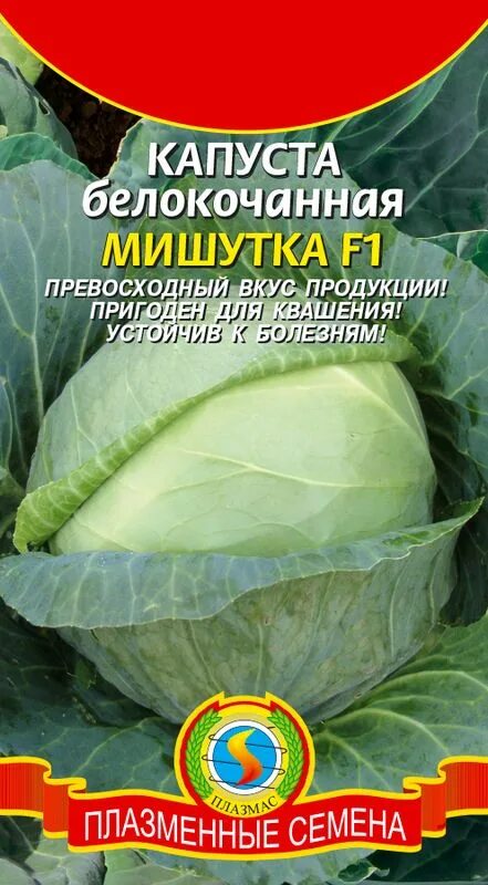 Капуста мишутка описание сорта фото отзывы Семена Капуста б/к F1 Мишутка: описание сорта, фото - купить с доставкой или поч