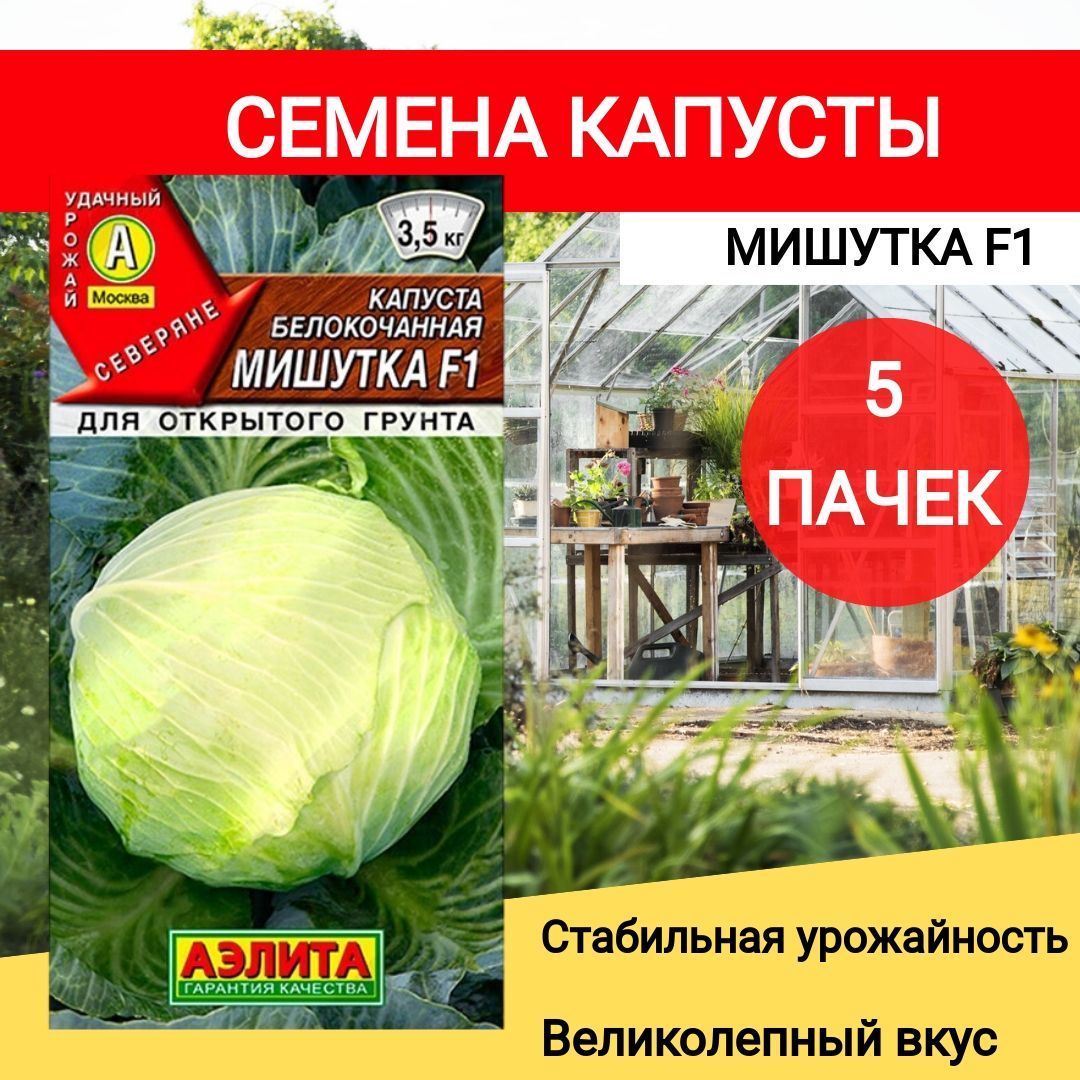 Капуста мишутка описание сорта фото отзывы Сорт капусты мишутка