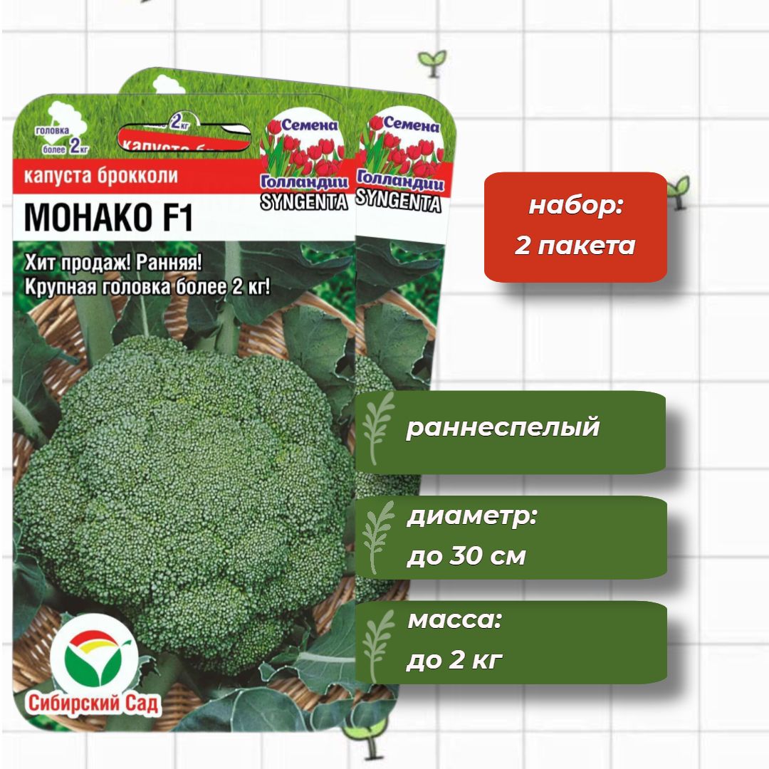 Капуста монако описание сорта фото отзывы Капуста Сибирский сад СибСадКапуста - купить по выгодным ценам в интернет-магази